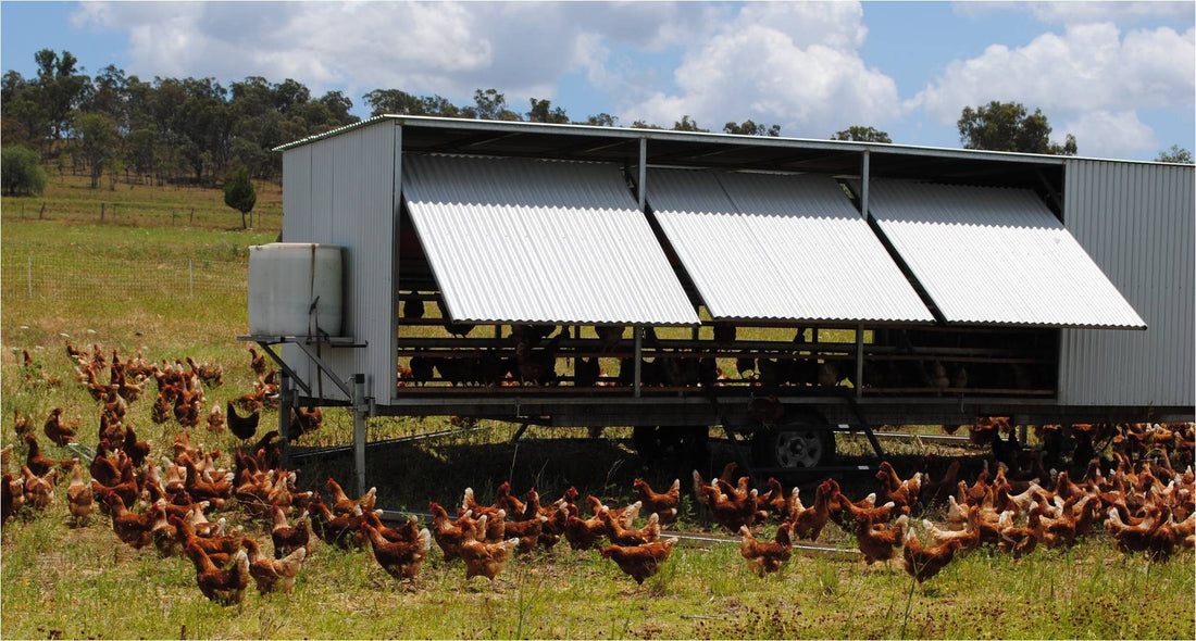 Our tour of Echo Valley Farm