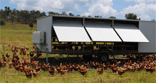 Our tour of Echo Valley Farm