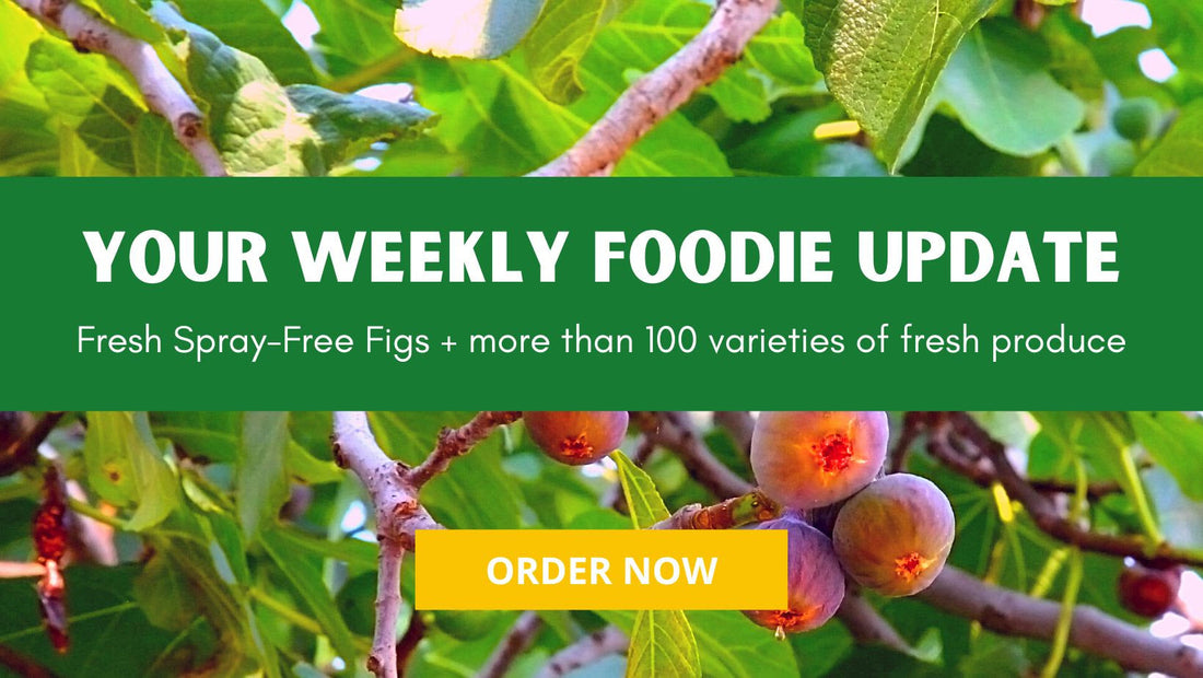 Farmacy Weekly Report 2023 Week #7