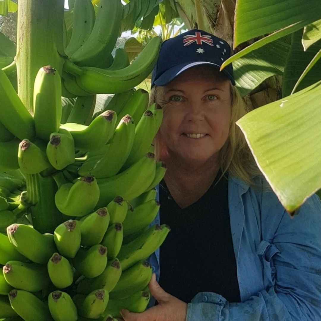 banana-farmer-certified-organic-brisbane-gold-coast-grocery-delivery-chemical-free-farming