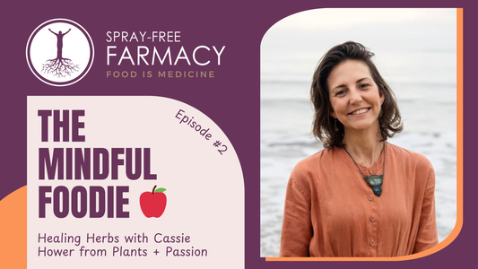 Mindful-Foodie-Podcast-Organic-Food-Health-Benefits-Brisbane-Episode-2