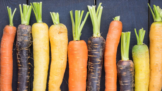 Buy vibrant orange, purple, yellow, and red carrots online