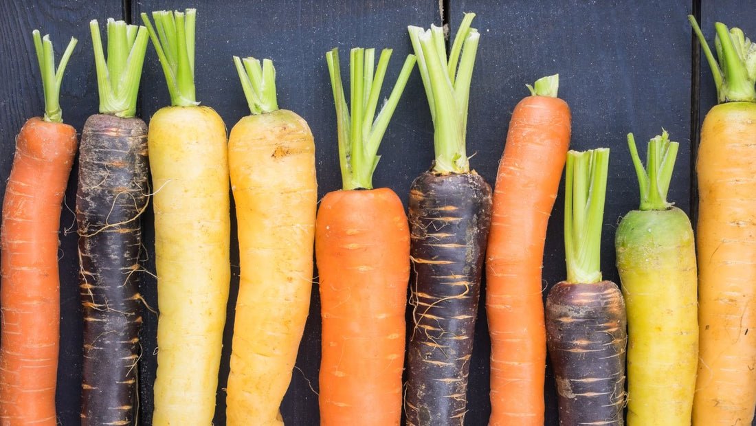 Buy vibrant orange, purple, yellow, and red carrots online