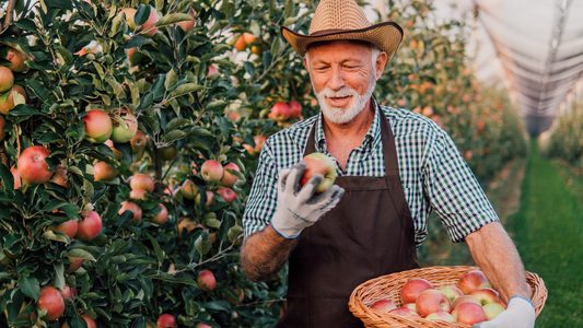 Your Guide to the Dirty Dozen and Clean Fifteen 2025