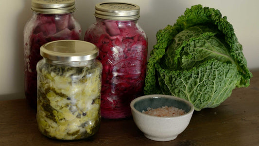 Probiotic Rich Foods for Good Gut Health