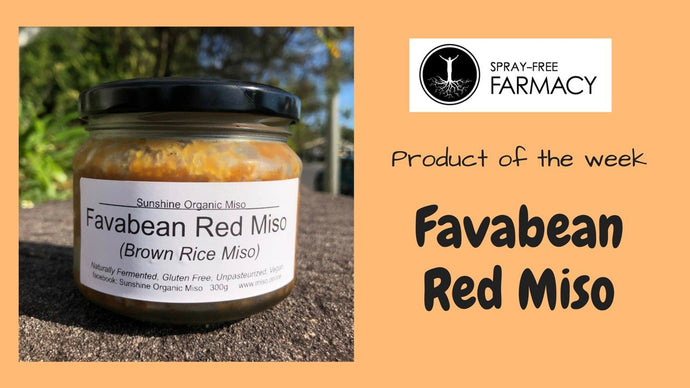 Product of the week: Favabean Red Miso
