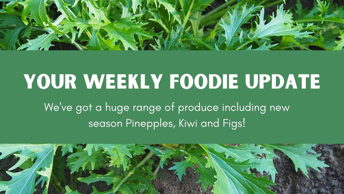 Farmacy Weekly Report Week #11 2022