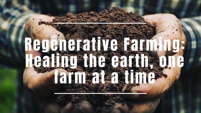 Regenerative Farming: Healing the Earth, One Farm at a Time