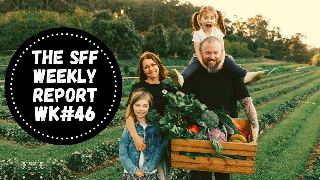 Farmacy Weekly Report Week #46 2021