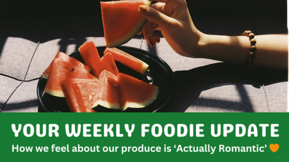 a hand holding fresh watermelon slices