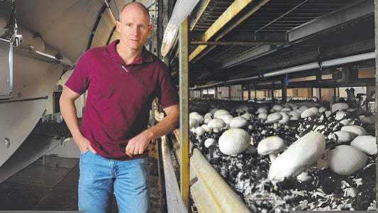 Tolson fam - Mushrooms - White Prince Mushrooms