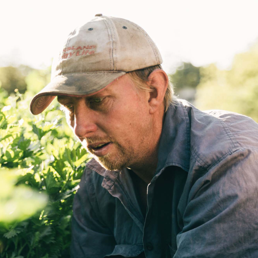 Mt Cotton Organic Farm