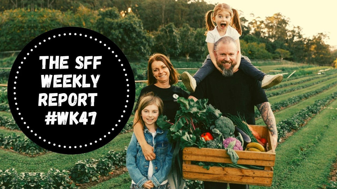 Organic-food-delivery-brisbane