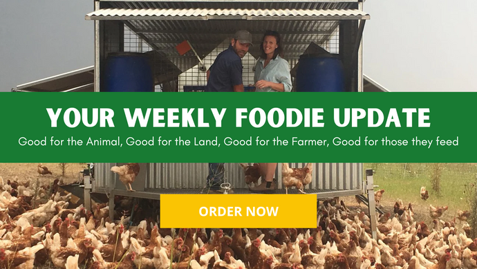Farmacy Weekly Report 2023 Week #37