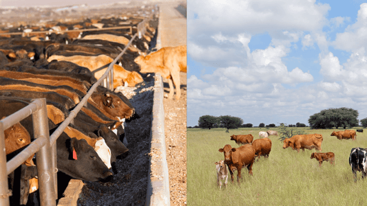 Think You’re Eating Healthy Meat?