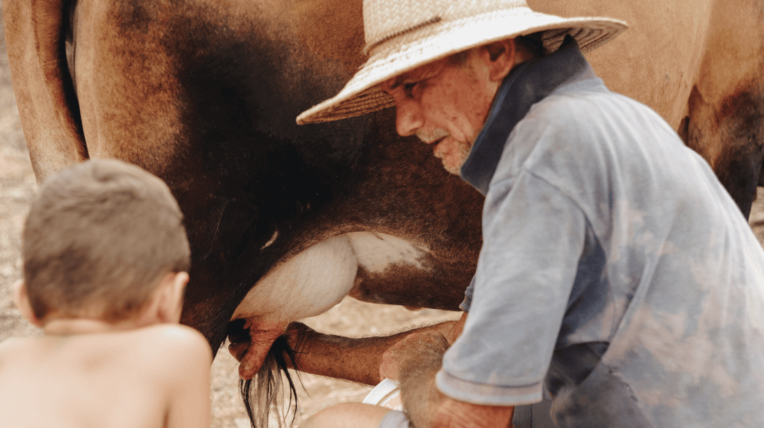 organic-raw-goats-milk-raw-cows-milk-brisbane-gold-coast-sunshine-coast-deliver-organic-box