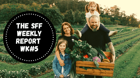 Farmacy Weekly Report Week #5 2022