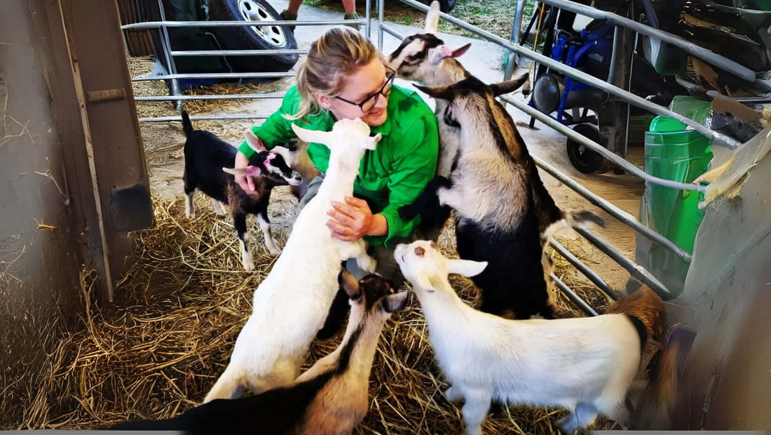 Gamble family - Goat Milk - Forage Hill Goats