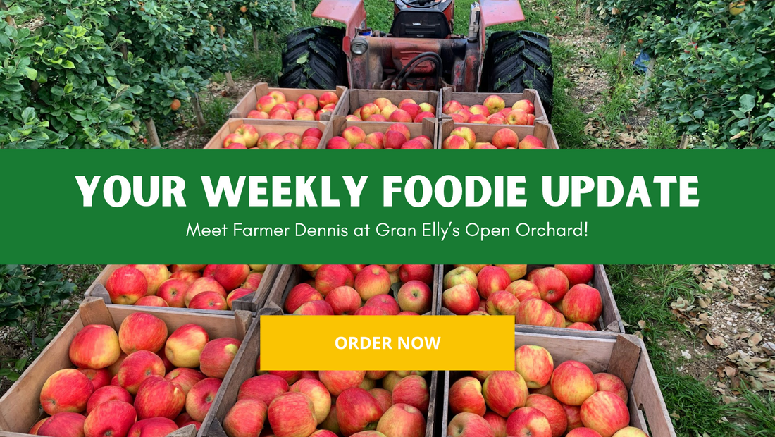 Boxes full of apples