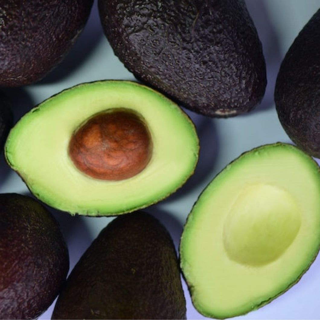 Hass-Avocado-Brisbane-Gold-Coast-Organic