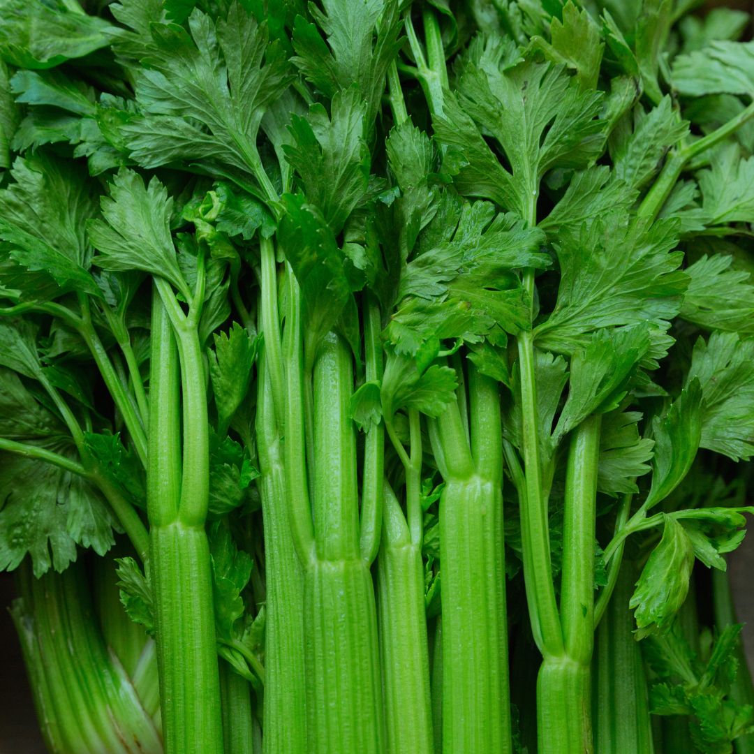 Celery-organic-brisbane-delivery-spray-free-farmacy