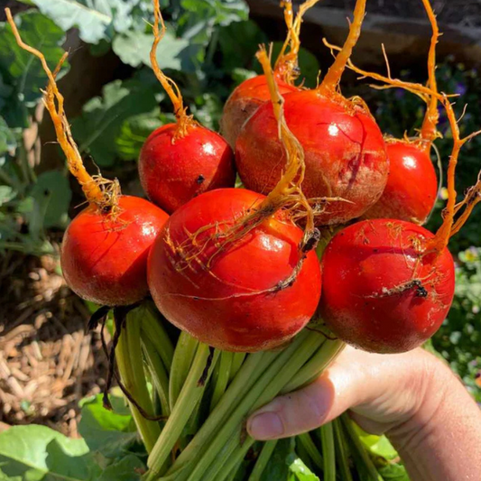 organic-fruit-vege-delivery-brisbane-gold-coast-queensland