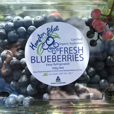 Hampton Blue Certified Organic Fresh Blueberries delivered buy online brisbane gold coast