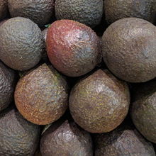 Load image into Gallery viewer, Avocados - Hass (3 pieces)
