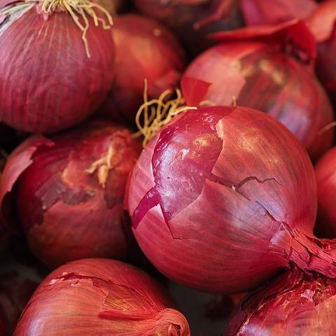 Onions - Red Organic (single)