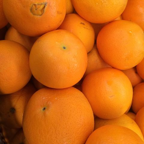 Oranges - Navel Organic BULK (5kg) SAVE $4.75
