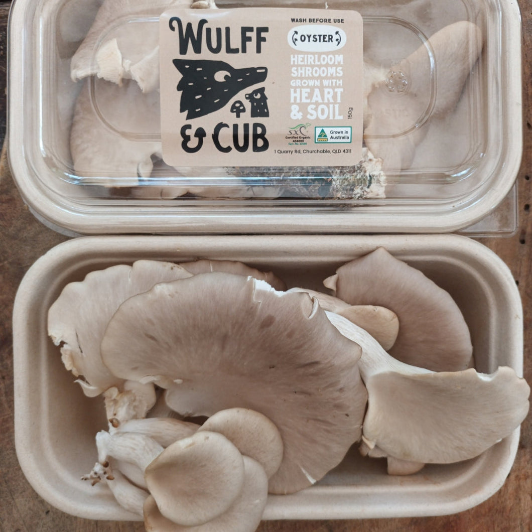 Queensland_White_Oyster_MUshrooms_Certified_Organic_Brisbane_Gold_Coast_Wulff and Cubb