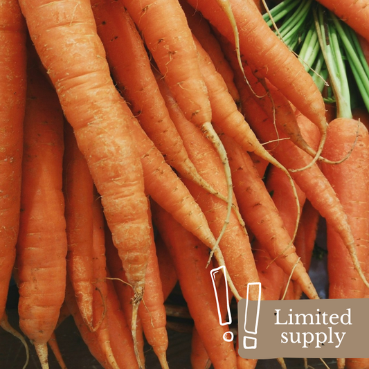 Carrots - Dutch Spray-Free (Bunch)