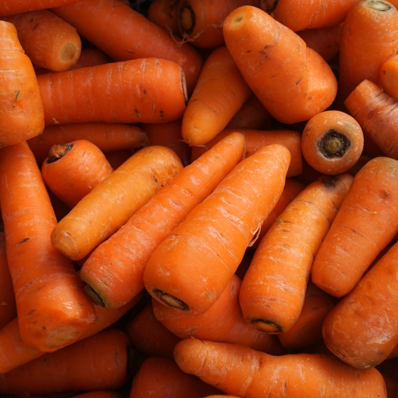 Bunch of carrots