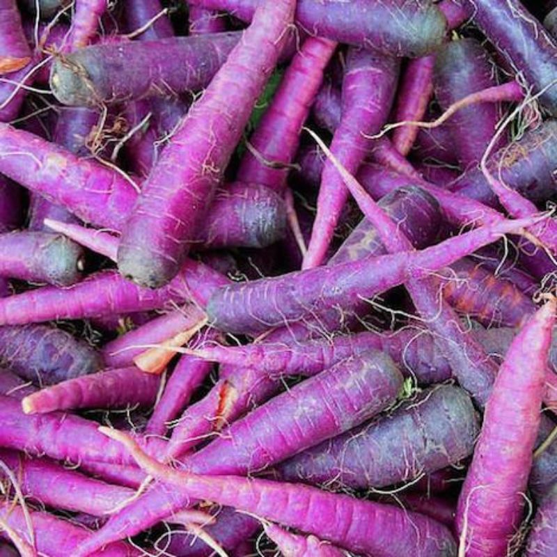 Bunch of purple carrots