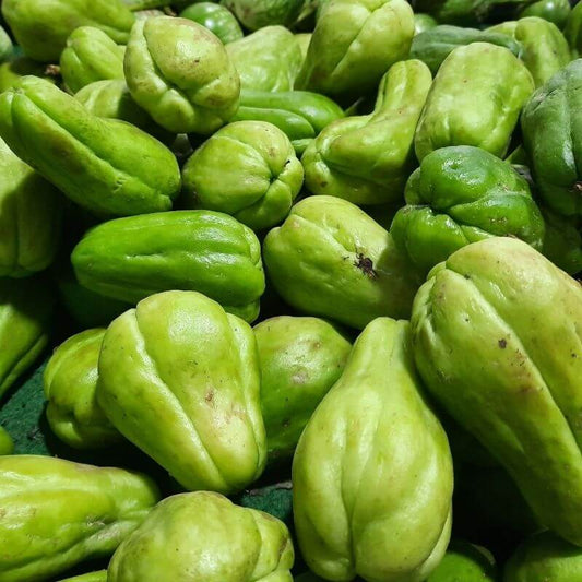 delicious choko chayote farmed organically