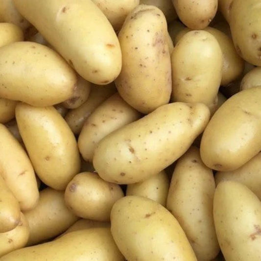 potatoes organic kipfler