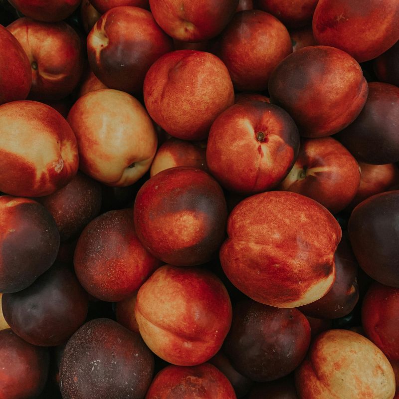 organically grown white flesh nectarines for stone fruit season