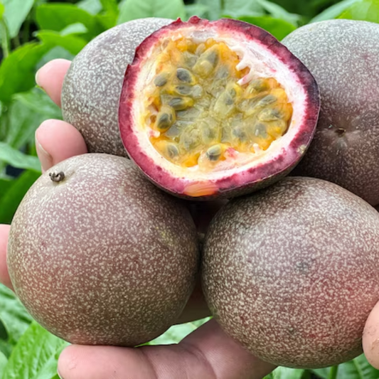 fresh-spray-free-organic-fruit-and-veg-box-delivery-brisbane-gold-coast