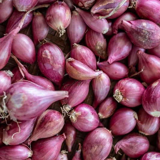 some organically grown red shallots