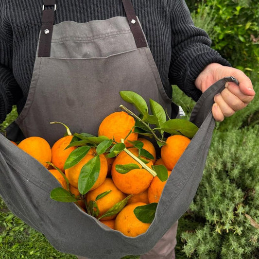 spray-free-organic-fruit-vegetables-brisbane-delivery-gold-coast-queensland