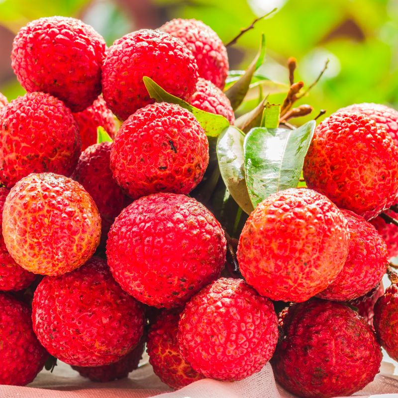 organic-lychees-fruit-delivery-brisbane