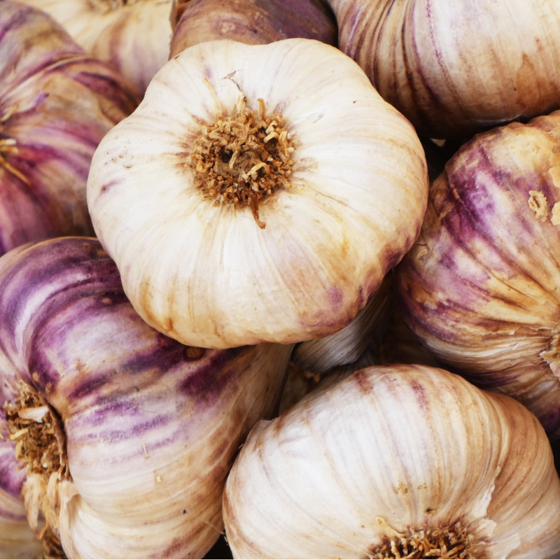 Spray Free Australian Grown Purple Garlic