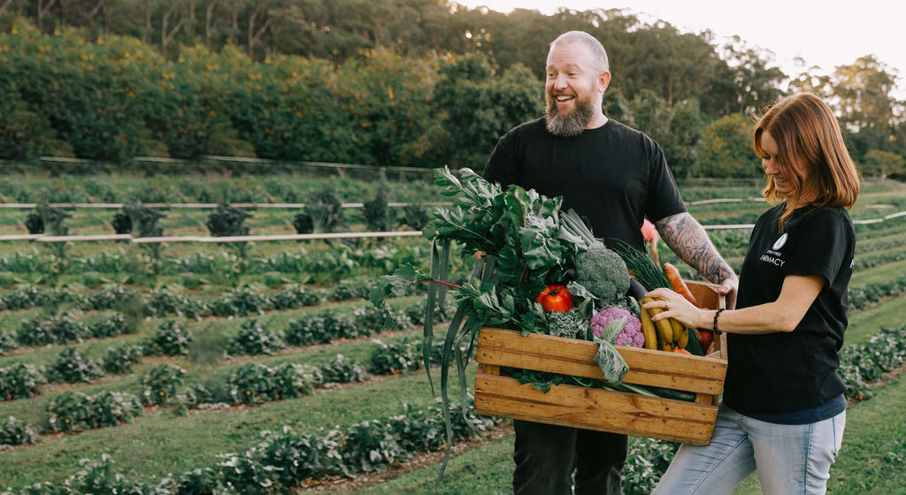 Farmers picking fruit