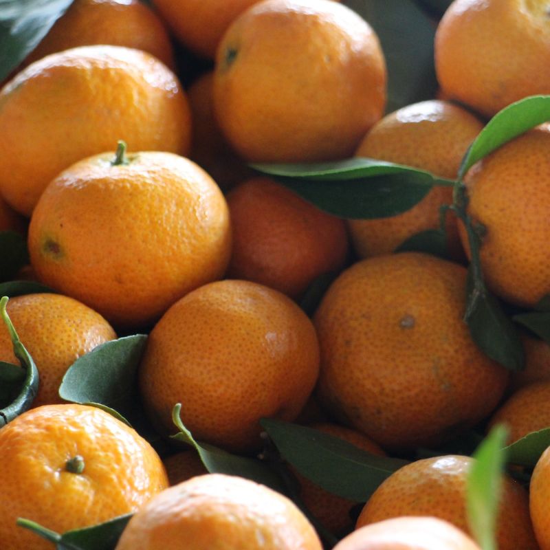 Mandarins - Mixed Varieties Spray-Free (500gm)
