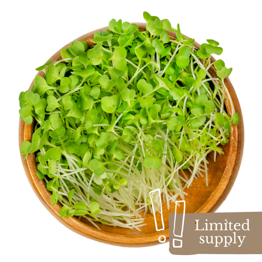 spray-free-organic-fruit-vegetable-produce-delivery-home-brisbane-gold-goast-woodford-microgreens