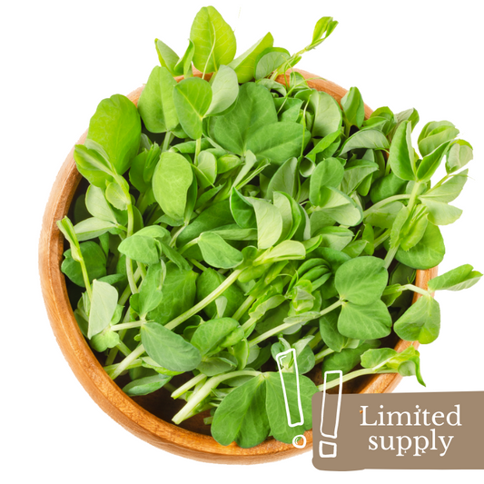 spray-free-organic-produce-fruits-vegetables-home-delivery-brisbane-gold-coast-woodford-microgreens