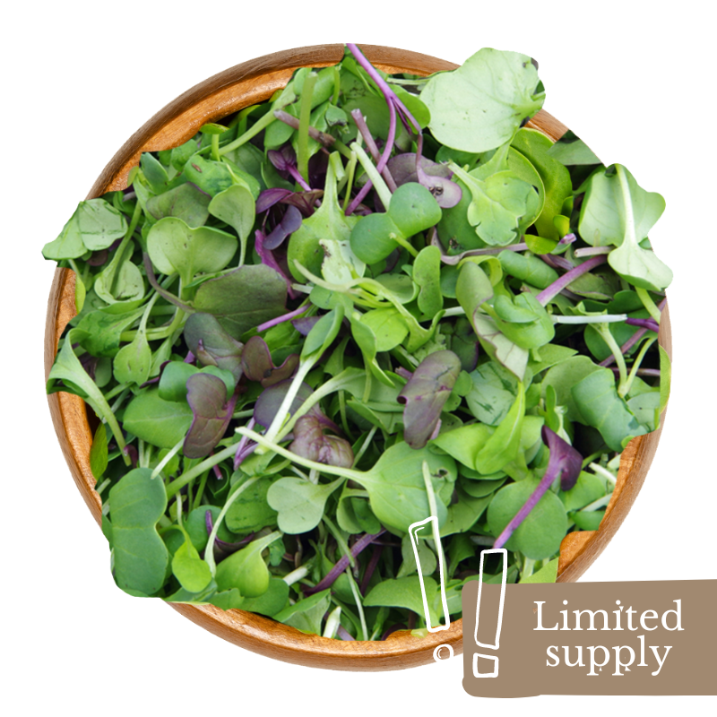 spray-free-organic-fruit-vegetable-produce-delivery-home-brisbane-gold-goast-woodford-microgreens