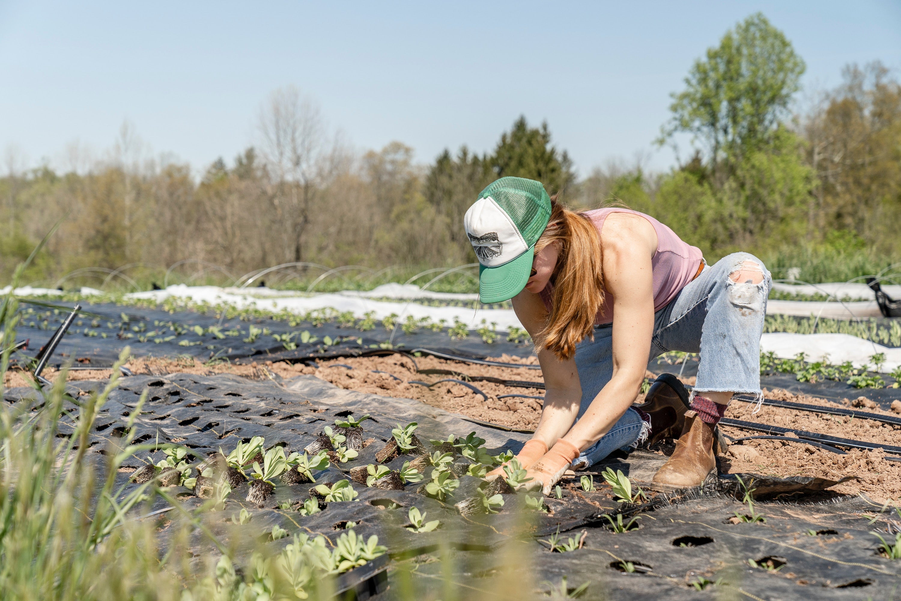 A woman planting young vegetables on a spray-free farm, carefully tending crops grown for fresh organic vegetables delivery in Brisbane.