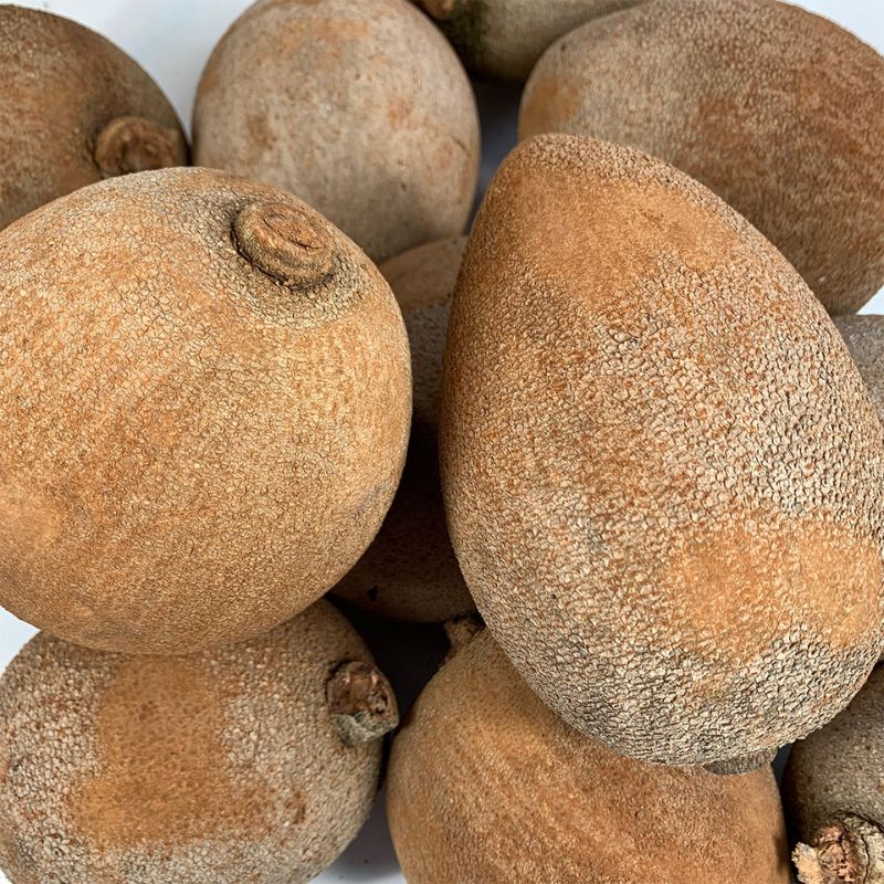 Mamey Sapote Organic (LARGE each)