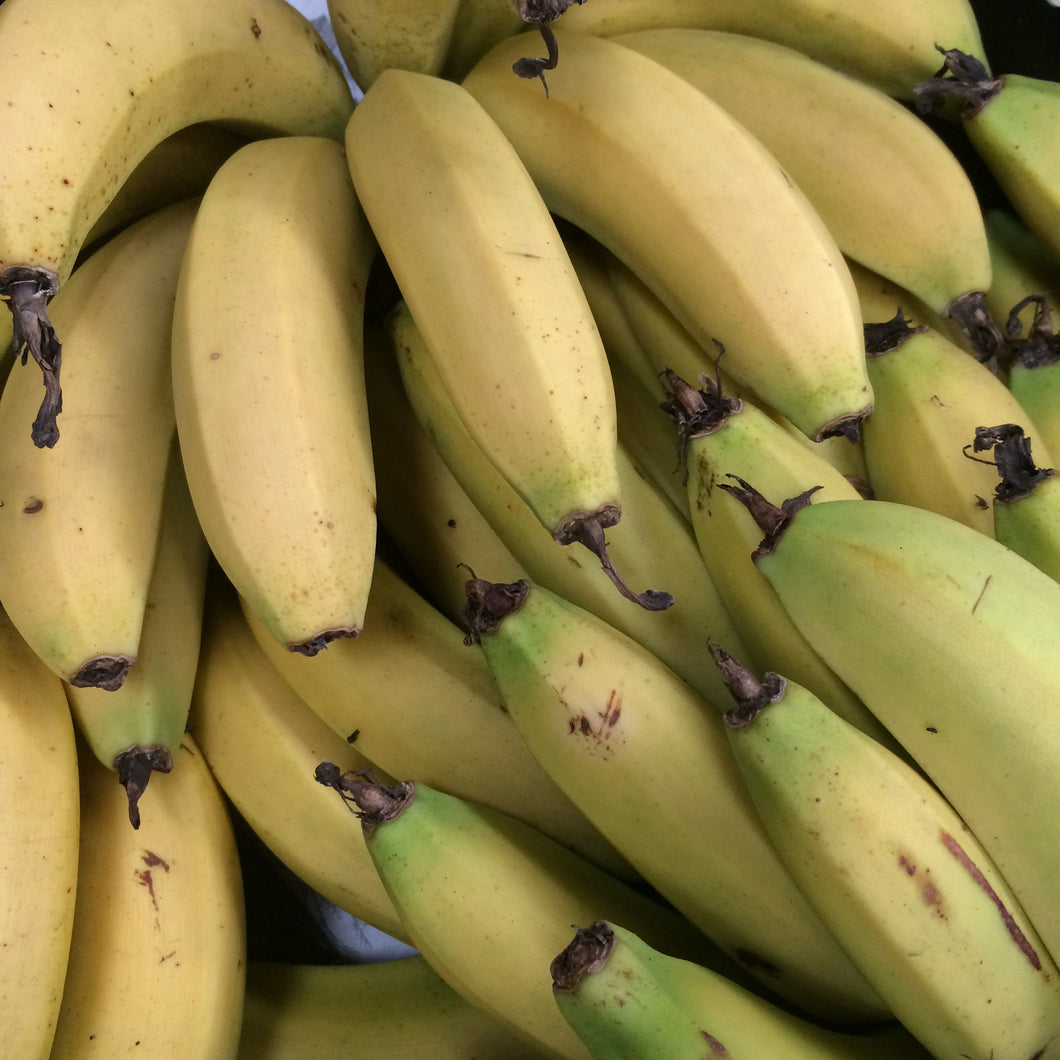 organic cavendish bananas available for pick up or home delivery in Brisbane